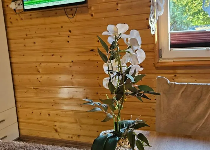 Prázdninový dům Serce Krynicy Krynica Morska